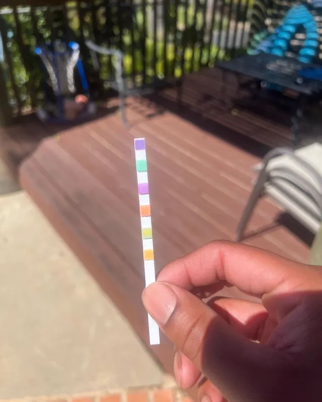 Lowell holding a pool water test strip at a customer's pool